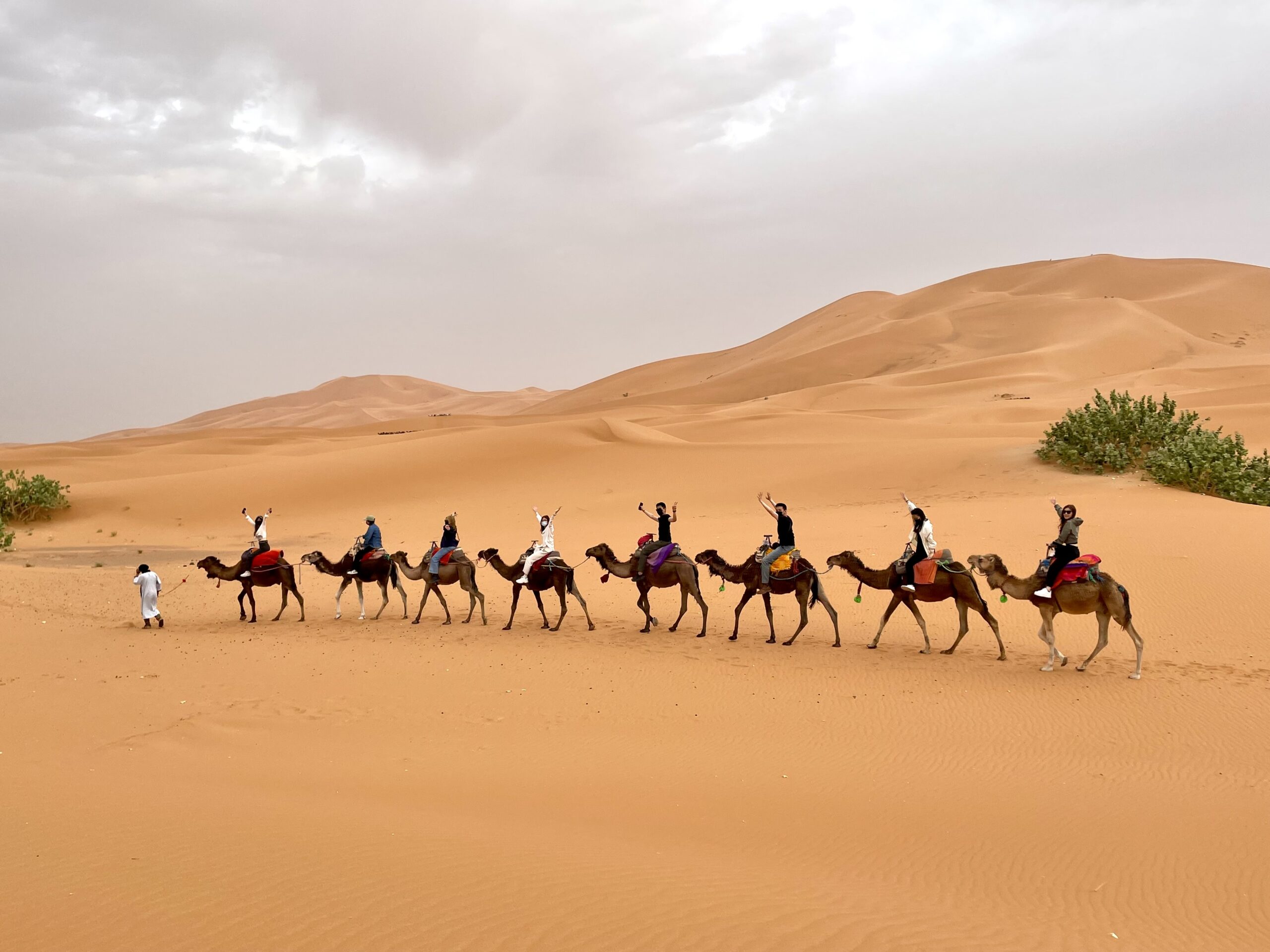 10 Days Desert Tour from Fes