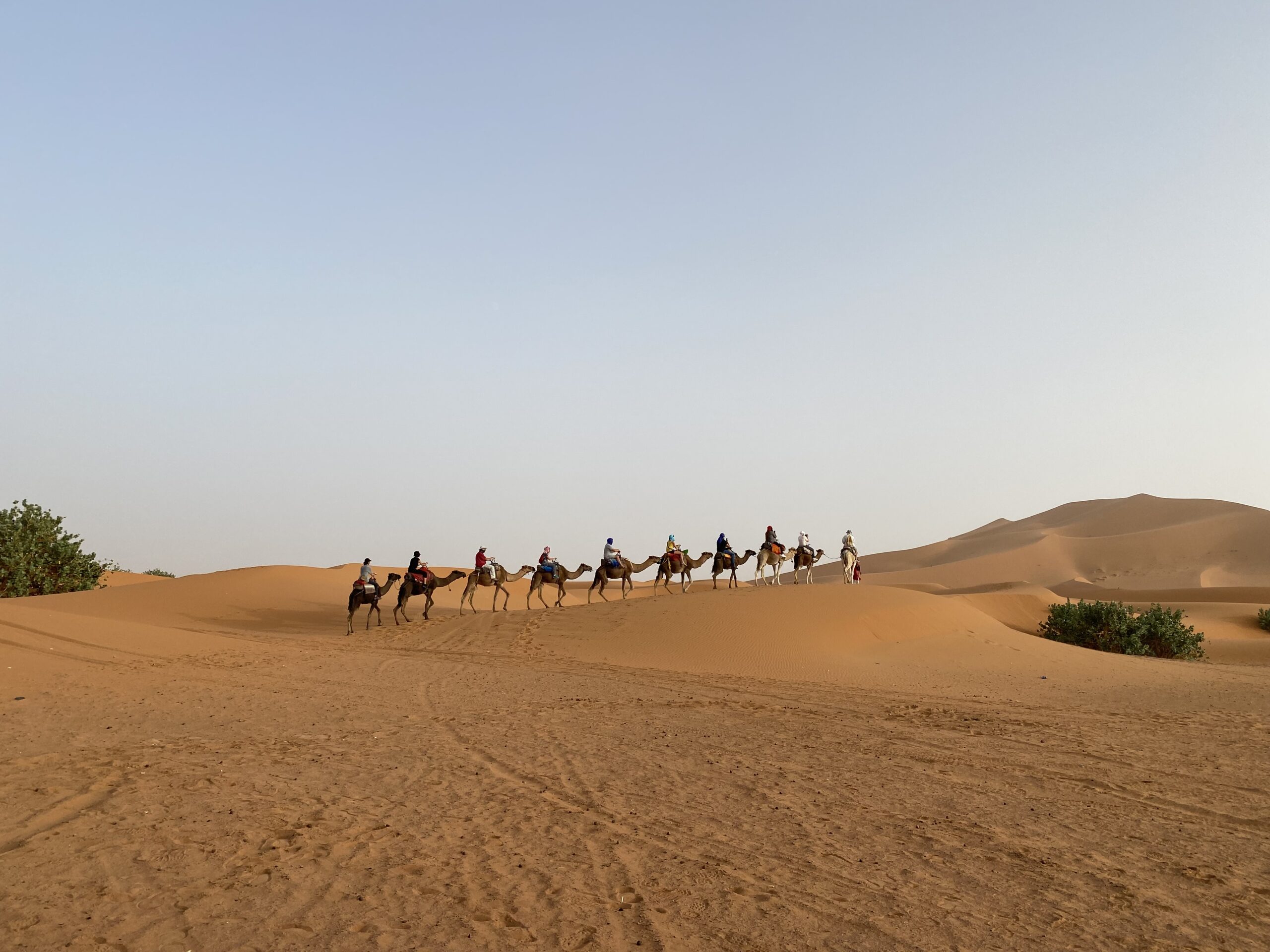 7 Days Tour from Casablanca to Marrakech