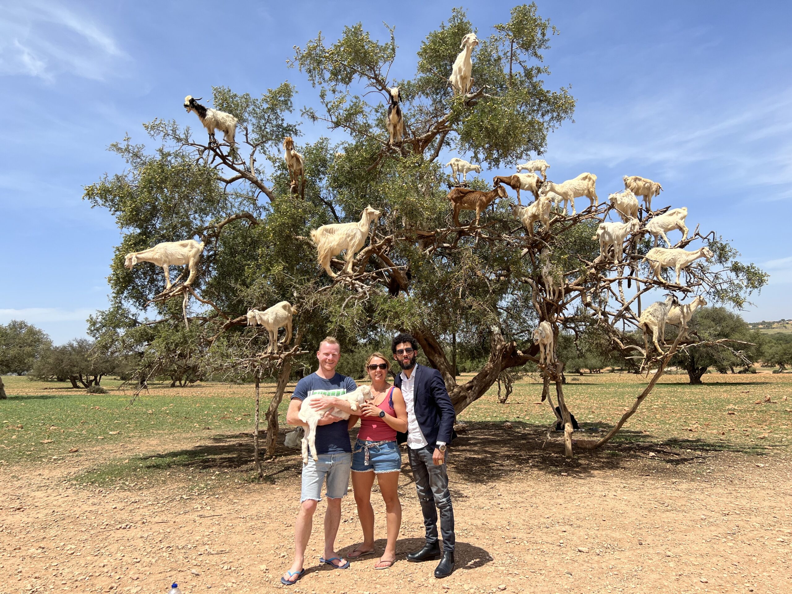 Day Trip to Essaouira from Marrakech