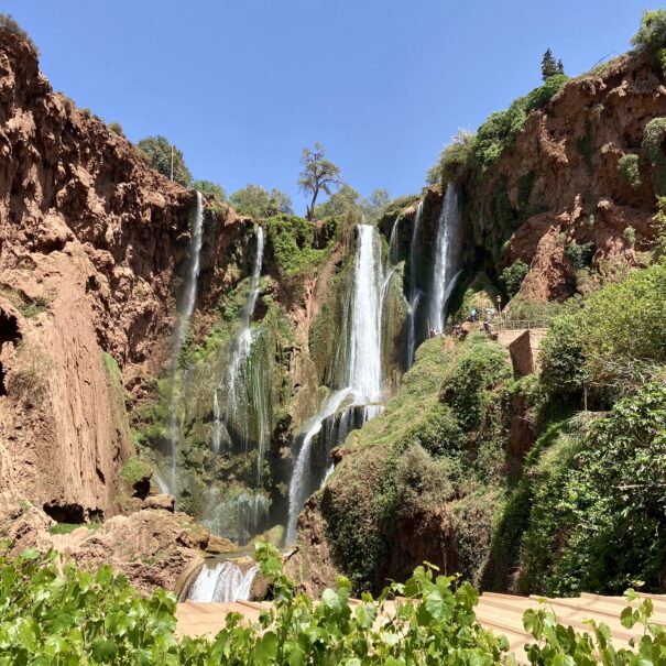 Day Trip to Ouzoud Waterfalls from Marrakech