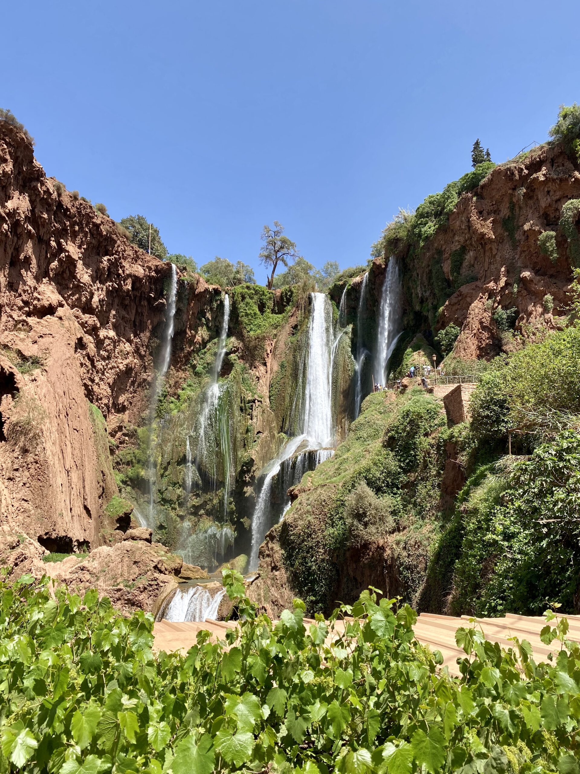 Day Trip to Ouzoud Waterfalls from Marrakech